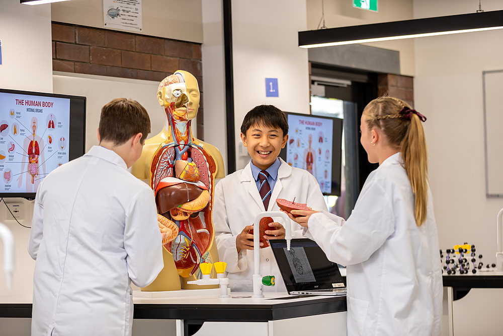 John Paul College senior students working through STEM coursework